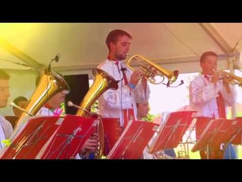 RATÍŠKOVICE-48.MEZINÁRODNÍ FESTIVAL DECHOVÝCH HUDEB: DH BOJANÉ, DIVÁCI