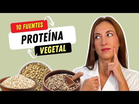 ⏩ 10 VEGETABLE PROTEIN SOURCES   🍚