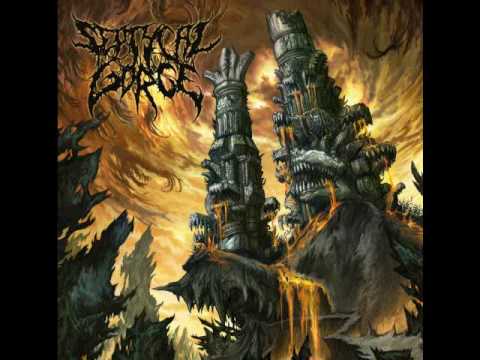 SEPTYCAL GORGE - Erase The Insignificant (2009) - Aprioristic Discharge