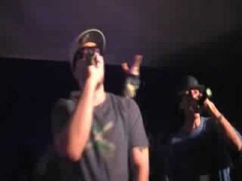 Jigz Remedy Performance