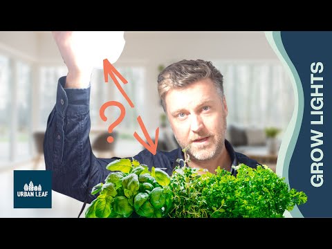YouTube video about: Can you tan with a grow light?