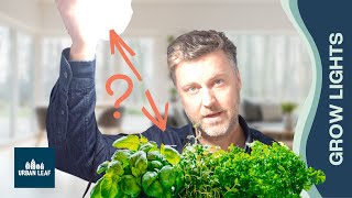 How Far Should Grow Lights Be From Plants? And How Long Should Grow Lights Be On For Each Day?