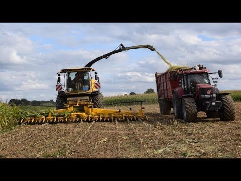 New Holland FR780 - 12 rangs