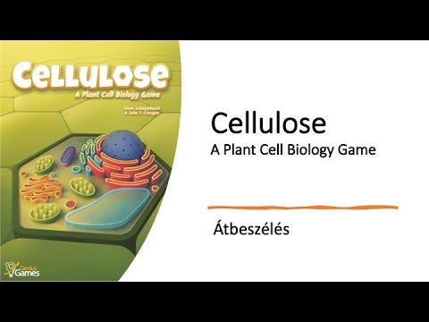 Cellulose - Átbeszélés - Robert SoloPlay