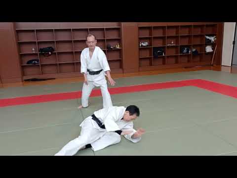 Budo training in Aikido　No 164 Kubinage首投