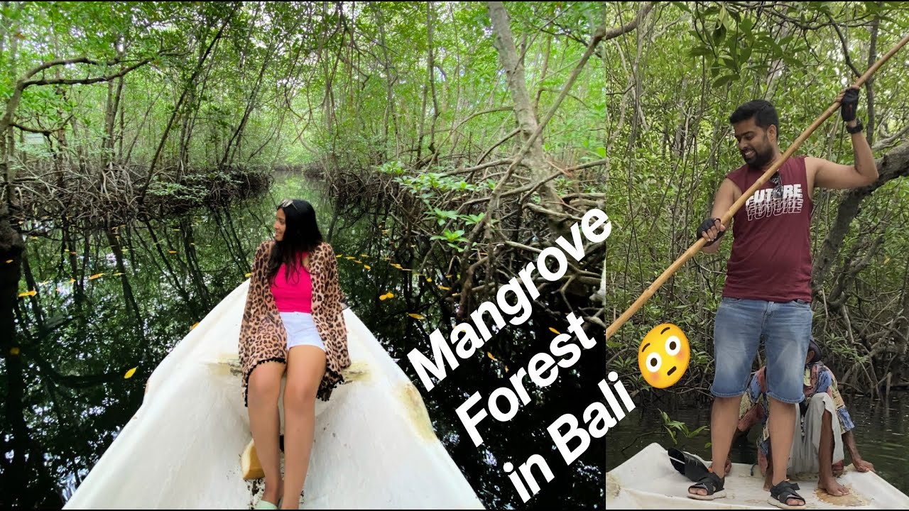 Experience the thrill of kayaking through the captivating mangrove forests as a tourist.