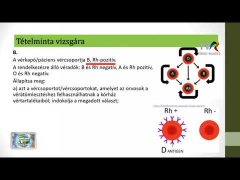 Prostatitis urethritis kezelés