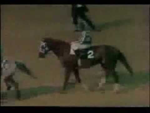 SECRETARIAT'S Triple Crown Recap
