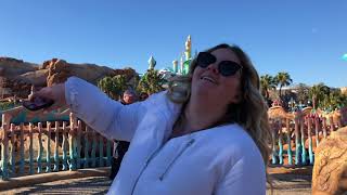 Tokyo Disney Land and Sea 2018