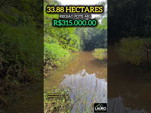 🔥 7 ALQUEIRES POR R$45 MIL O ALQUEIRE? VEJA ESSE SÍTIO EM POTÉ-MG!