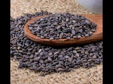 Sesame destoner machine, three phase, capacity: 500 kg/hr