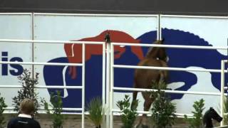 Video von Ulove des Charmes