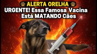 URGENTE! Essa Vacina Famosa Está MATANDO Cachorros 🐶ALERTA ORELHA🐶  🐾  🐾 🐾