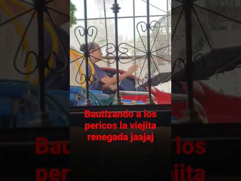 Los pericos luis y Julián jaa