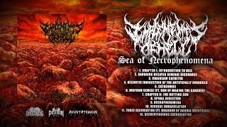 IMPLEMENTS OF HELL - SEA OF NECROPHENOMENA [OFFICIAL ALBUM STREAM] (2019) SW EXCLUSIVE
