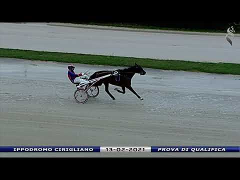 Aversa trotto 13 Febbraio 2021 - Prova di qualifica