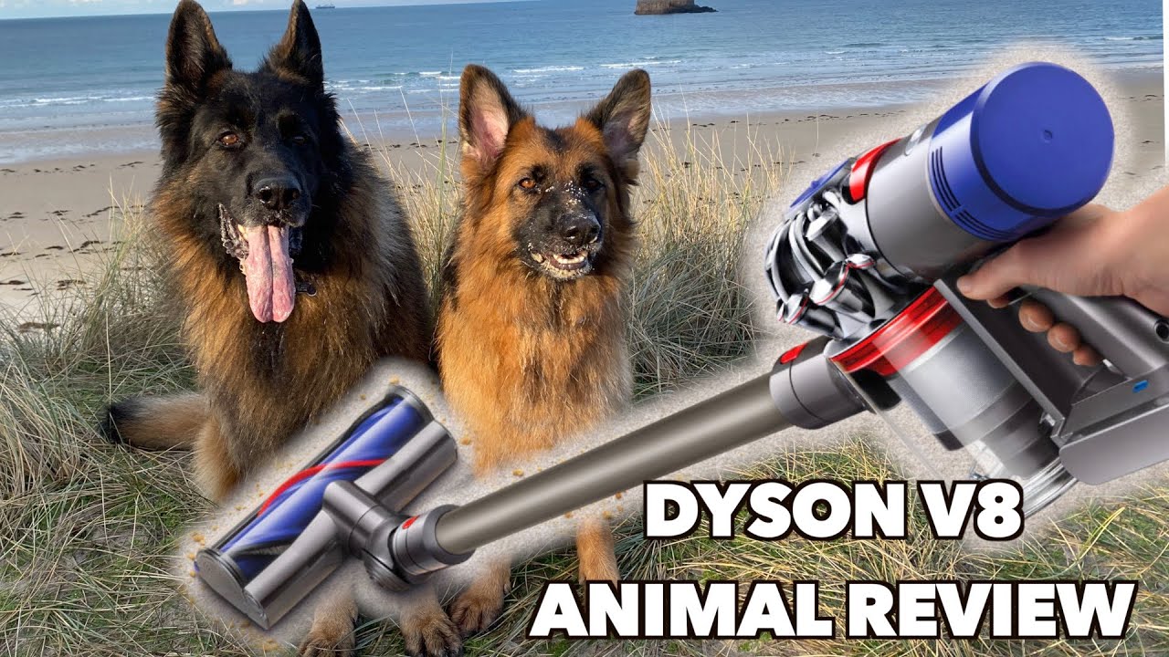 Пылесос Dyson V8 Animal