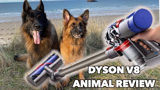 Dyson V8 Animal - відео 1