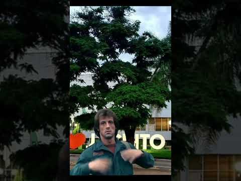 Jacinto MG | Rambo #minasgerais #valedojequitinhonha #br367