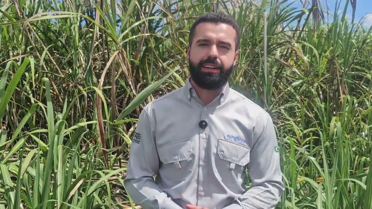 Syngenta lança no 3º CanaShow Inovação: Crestivo, seu novo herbicida com amplo espectro