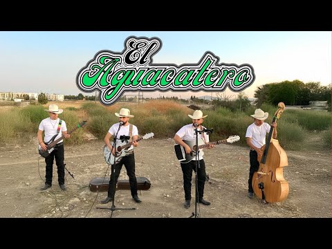 Hermanos Figueroa - El Aguacatero (En Vivo 2023)
