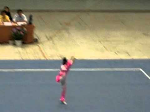 Shaanxi Wushu Team - Changquan 43 [2006 China Women's Wushu National Qualifiers]
