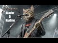 CATALLICA MASTER OF NAPTIME Live At Waken 2026
