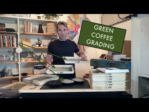 SCA Green Coffee Sizing and Grading Standards