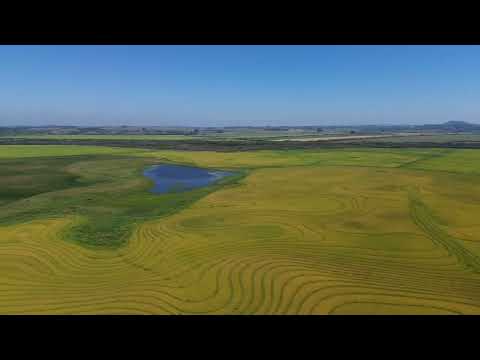 Colheita de Arroz - Dilermando de Aguiar RS - @balconidrones - Dji Mini 3 