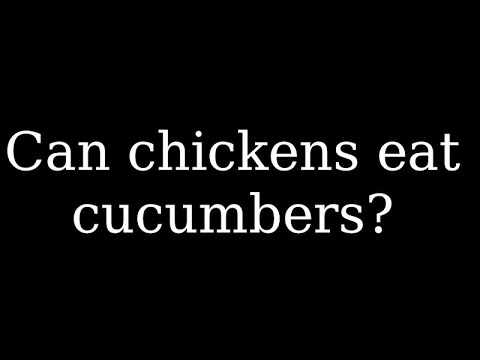 Can chickens eat cucumbers