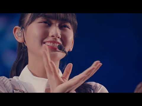 【初心者必見!】櫻坂46 メンバー紹介動画!【PV full】