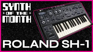 Roland SH-1 - What To Know & Where To Buy | Equipboard