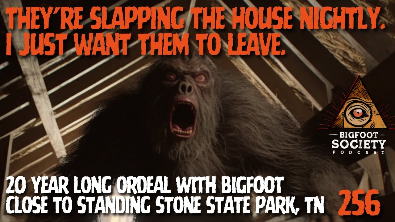 "They're Slapping the House Nightly and I Just Want them to Leave"