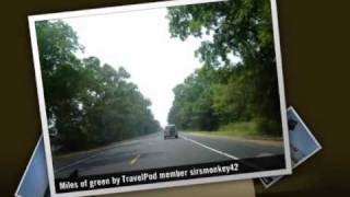 preview picture of video 'Daisy State Park Arkansas Sirsmonkey42's photos around Kirby, United States (travel pics)'