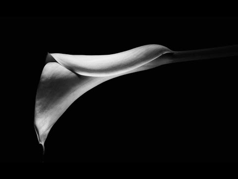 Dalia Kubiliūtė - Loneliness (Vienatvė). English lyrics. HD