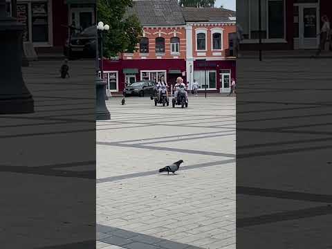 фото электросамокат 0