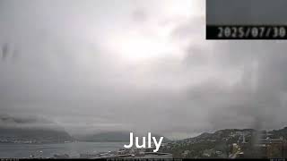1 Year in 1 Minute