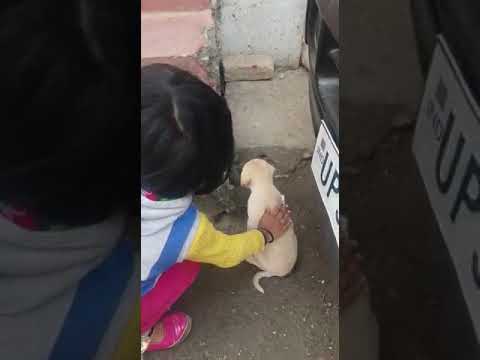 ARNA NE PUCHKARA AUR JATAYA PYARE PUPPY KO PYAAR