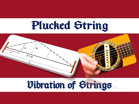 image-What are examples of plucked strings?