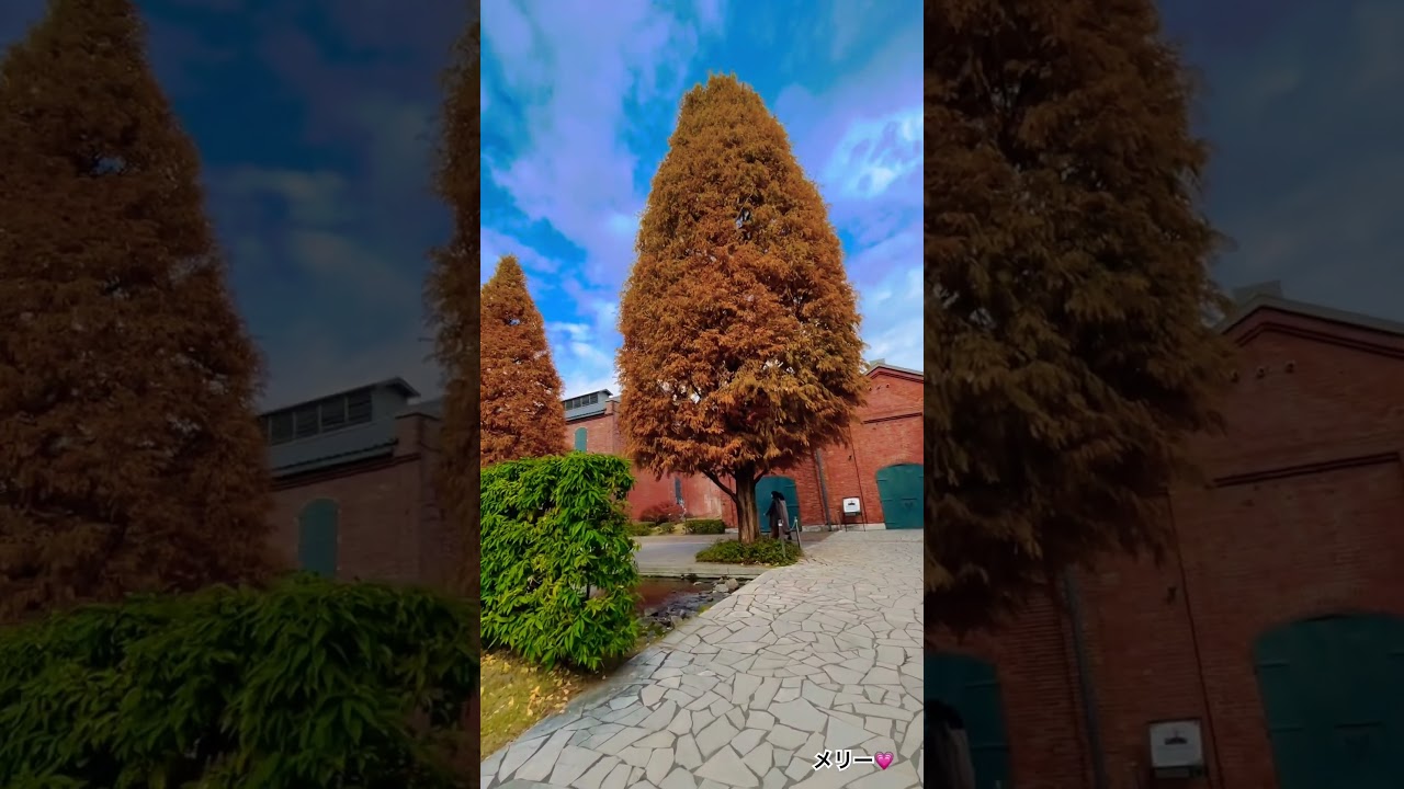 YouTube Short thumbnail