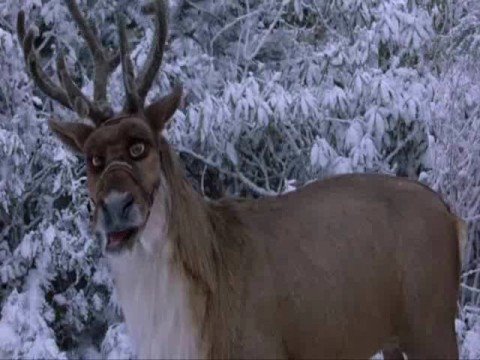 Comet The Reindeer 2