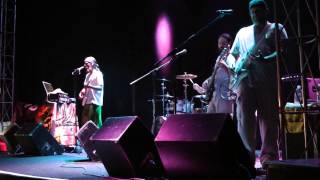 PMA The Harder They Come