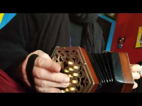 Concertina - Image 2