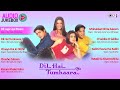 Dil Hai Tumhara Movie All Songs Jukebox Audio Album Arjun Rampal Preity Udit Alka Kumar