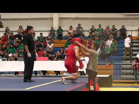 9th Pan-American Wushu Championships Sanda - USA vs. Brazil