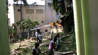 The tree in the church campus being cut