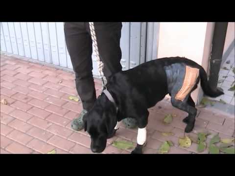 Come rimuovere il dolore della osteocondrosi cervicale Mal di schiena che fanno il raffreddore