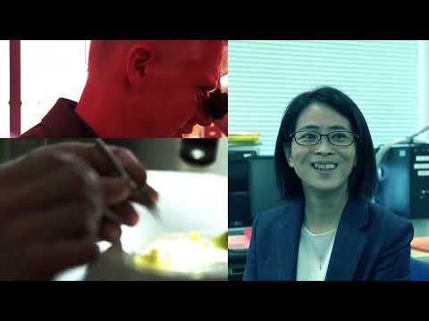 国際経済学科 特集「理工学部の研究力」人とロボットの共生 ※2021オープンキャンパス作成動画