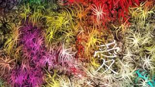 John Mayer continuum - I Don&#39;t Trust Myself With Loving You