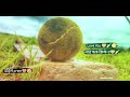Cricket Lovers Whats App Status